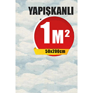 Bien Exclusive (50CM X 2MT), 1 M² Cm Bulut Pencere Desen Yapışkanlı Kaplama Pvc Folyo F-609