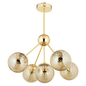 Meyo 5li Gold Bal Camlı Modern Genç Odası Yatak Odası Salon Avize