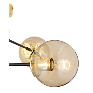 Maral 4lü Siyah Gold Bal Camlı Modern Koridor Mutfak Salon Retro Avize