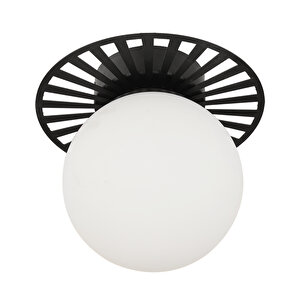 Rakes Siyah Modern Plafonyer Genç Odası Mutfak Yatak Odası Avize Siyah