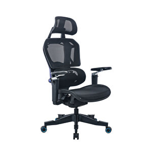 Adore Gaming Epic Profesyonel Oyuncu Ve Yönetici Koltuğu-siyah File-mavi 68,5x116-123,5x68 Cm (gxyxd) Ceviz Gold