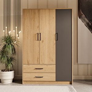 3508 Grande Modern 120x182 3 Kapili Gardrop Sepet Trevi̇so