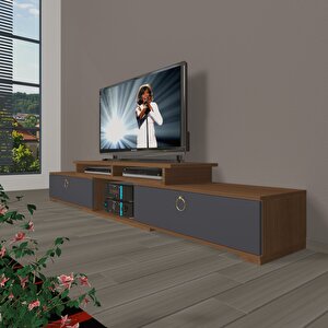 Flex 130 Mdf Gold Tv Ünitesi Tv Sehpası Ceviz Antrasit