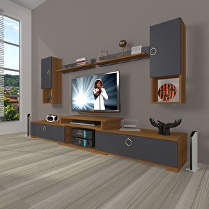Flex 5da Mdf Gold Tv Ünitesi Tv Sehpası Ceviz Antrasit