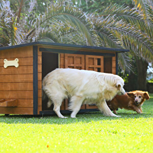 İkiz Köpek Kulübesı Ve İsimlik + Mama Kabı