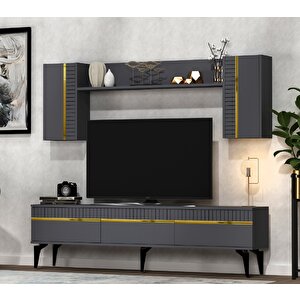 Defne Tv Ünitesi 180 cm Antrasit-Altın