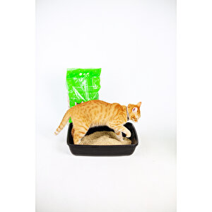 Mısır Koçanından Doğal Topaklanan Tozsuz Kedi Kumu 10lt
