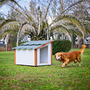 Standart Köpek Kulübesı