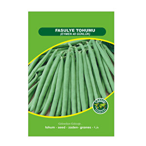 Fasulye Tohumu 40 Günlük