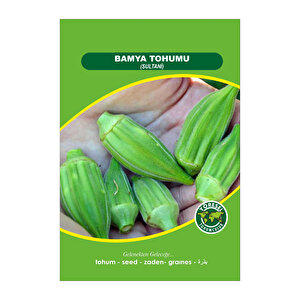 Bamya Tohumu