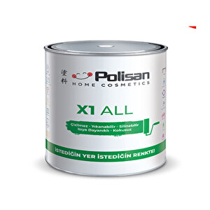 X1 All Limon Kufu 0,75l
