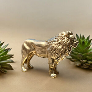 Altin Aslan Biblo 22 X 15