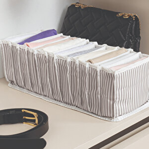 Akordiyon Organizer M