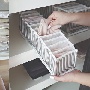 Akordiyon Organizer M
