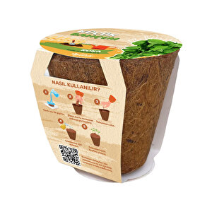 Roka Yetiştirme Seti