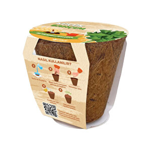 Fesleğen Yetiştirme Seti