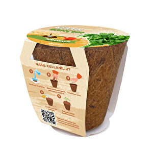 Maydanoz Yetiştirme Seti