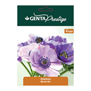 Anemon Mix