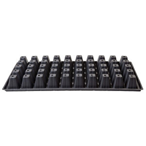 10501 Fide Viyolü Tohum Yetişti