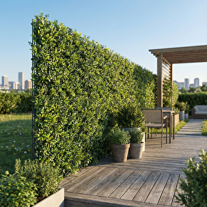 Yaprak Çit Koyu Yeşil 100*100