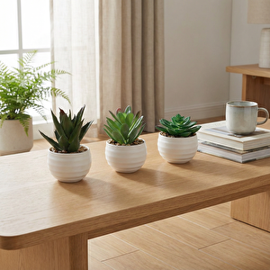 Yapay Bitki Üçlü Sukulent