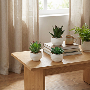 Yapay Bitki Üçlü Sukulent