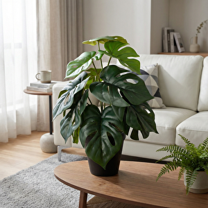 Yapay Bitki Monstera