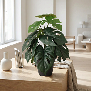 Yapay Bitki Monstera