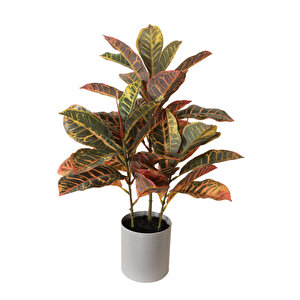 AP Croton