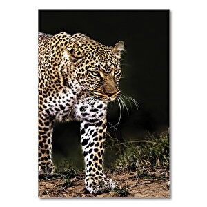 Ahşap Tablo Doğadaki Leopar 35x50 cm