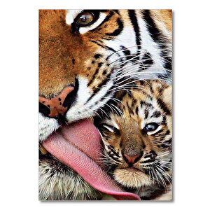 Ahşap Tablo Kaplan Ve Yavrusu 50x70 cm