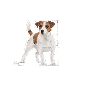 Royal Canin Mini Adult Dog 2 kg