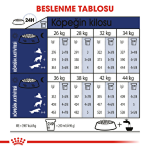 Royal Canin Maxi Adult Büyük Irk Köpek 15 kg