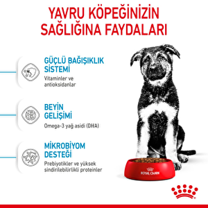 Maxi Puppy Dog  15 kg