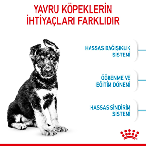 Royal Canin Maxi Puppy Dog  15 kg