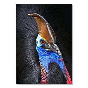 Ahşap Tablo Tepeli Devekuşu Siyah Arkaplan 25x35 cm