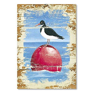Ahşap Tablo Kırmızı Top Üstünde Martı 50x70 cm