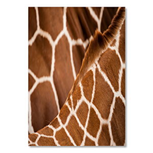 Ahşap Tablo Zürafa Desen Detayı Yakın Çekim 50x70 cm