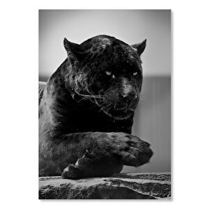 Ahşap Tablo Siyah Jaguar 25x35 cm