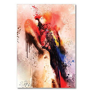 Ahşap Tablo Suluboya Papağan 50x70 cm
