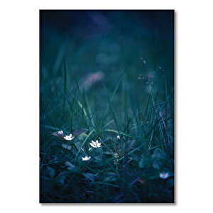 Ahşap Tablo Çimler Arasında Beyaz Çiçek 25x35 cm