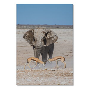 Ahşap Tablo Dövüşen Antiloplar Ve Arkalarındaki Fil 25x35 cm