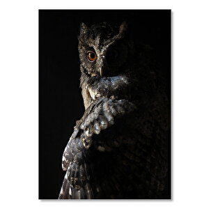 Ahşap Tablo Baykuş Karanlık Arkaplan 50x70 cm