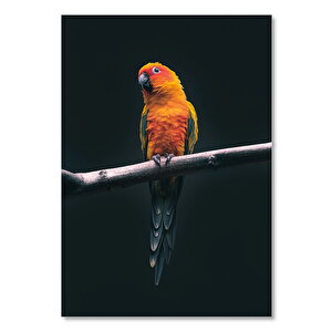 Ahşap Tablo Dalda Sevda Papağanı 25x35 cm