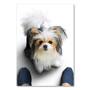 Ahşap Tablo Dostumun Yolculuğu Terrier 50x70 cm