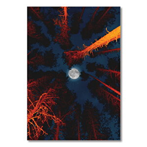 Ahşap Tablo Orman Gece Kamp Ateşi Ve Dolunay 50x70 cm