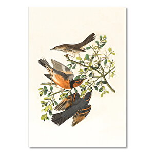 Ahşap Tablo Zeytin Dalında Kuşlar Çizim 50x70 cm