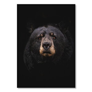 Ahşap Tablo Karanlık Arkaplan Dev Boz Ayı 50x70 cm