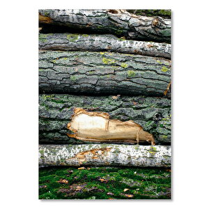 Ahşap Tablo Üstüste Dizilmiş Ağaç Gövdeleri 35x50 cm