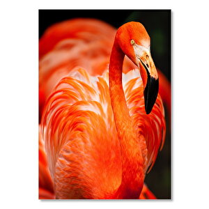 Ahşap Tablo Zarif Flamingo Siyah Arkaplan 35x50 cm